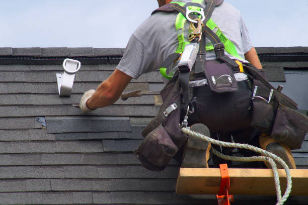 Best Roofing Contractors for Homes  in Petersburg, MI