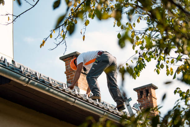 Best Roof Gutter Cleaning  in Petersburg, MI