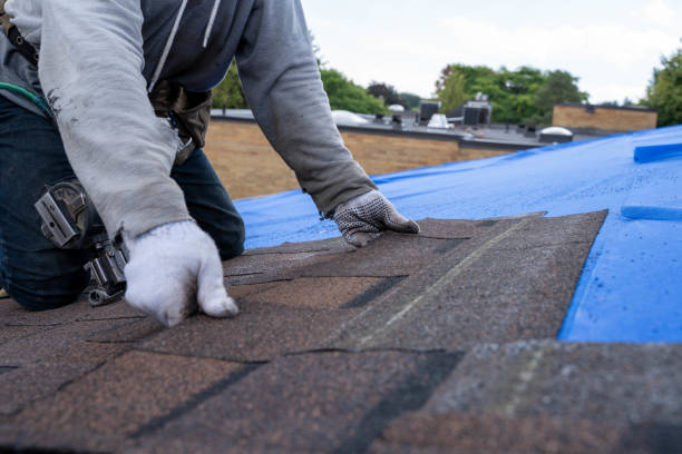 Best Roof Waterproofing Services  in Petersburg, MI