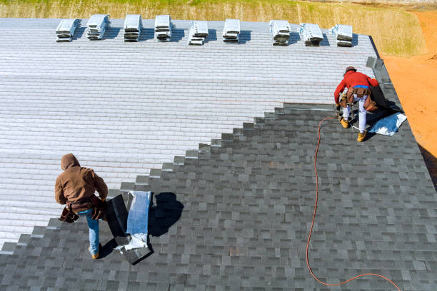 Best Local Roofing Companies  in Petersburg, MI