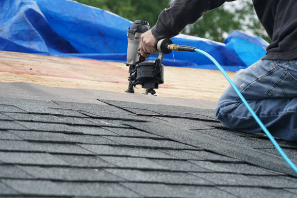 Best Flat Roof Repair Services  in Petersburg, MI