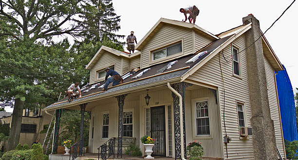 Best Roof Leak Repair  in Petersburg, MI