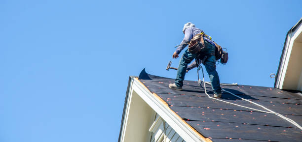 Best New Roof Installation  in Petersburg, MI